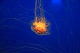 IMG_5998