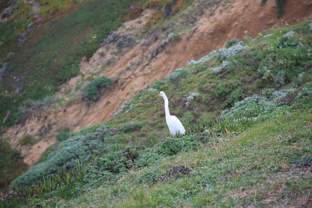 IMG_6098.JPG