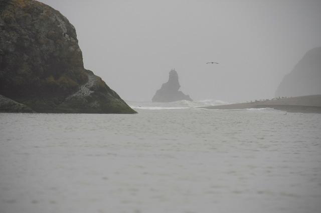 IMG_6147.JPG