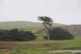 IMG_6091
