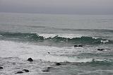 IMG_6115