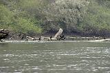IMG_6122