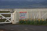 IMG_6155