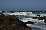 IMG_6202