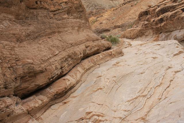 IMG_7155.JPG - Mosaic Canyon