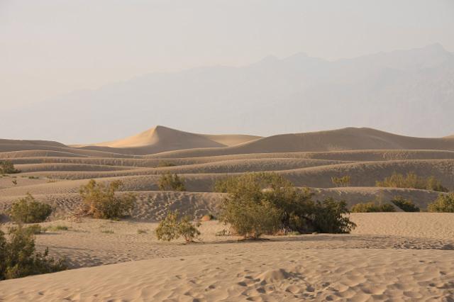IMG_7161.JPG - Mesquite Flat Sand Dunes