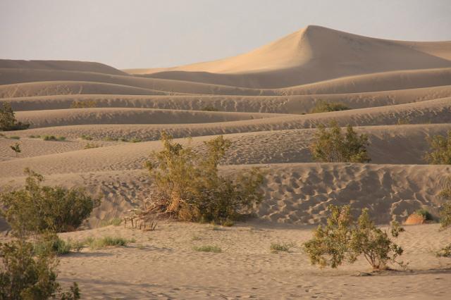 IMG_7163.JPG - Mesquite Flat Sand Dunes
