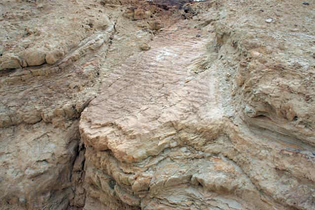 IMG_7300.JPG - Golden Canyon: Note the ripples on the rock.  These marked the lakeshore ~5 million years ago. Rapid burial beneath a layer of sediment preserved the imprint of the ancient beach.