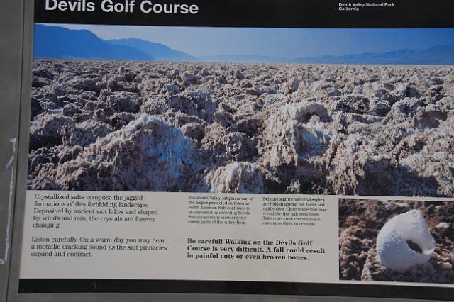 IMG_7382.JPG
