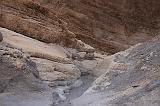 IMG_7137