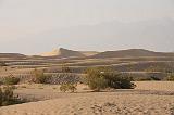 IMG_7161