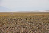 IMG_7359