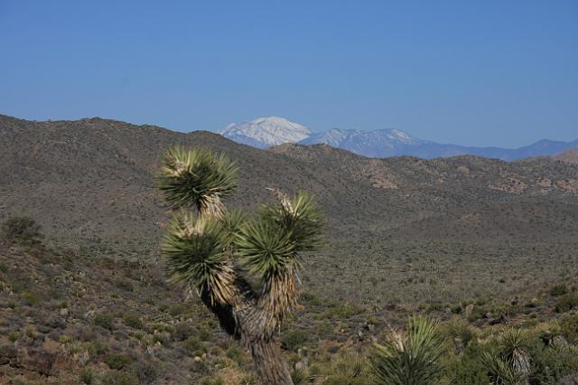 IMG_7470.JPG