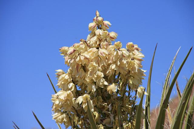 IMG_7501.JPG