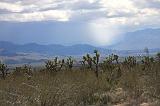 IMG_7431