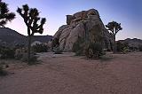 IMG_7451