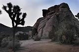 IMG_7452