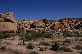 IMG_7475