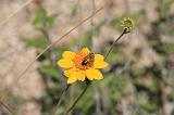 IMG_7482