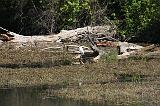 IMG_6824