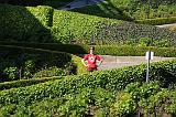 IMG_6013