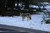 IMG_6857