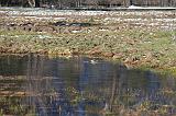 IMG_6880