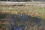 IMG_6881