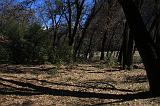 IMG_6954
