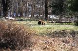 IMG_6962