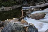 IMG_7018