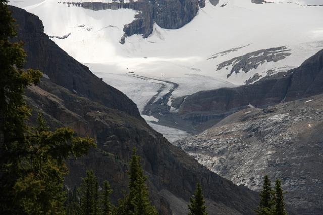 IMG_2485.JPG - Glacier in Peyto Lake area.