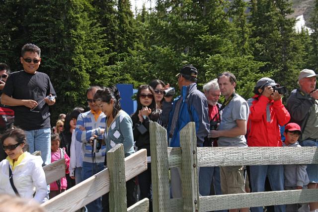 IMG_2491.JPG - Where there's accessibility... there are tourists!