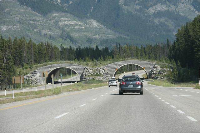 IMG_2947.JPG - One of many wildlife bridges/corridors in Banff National Park.