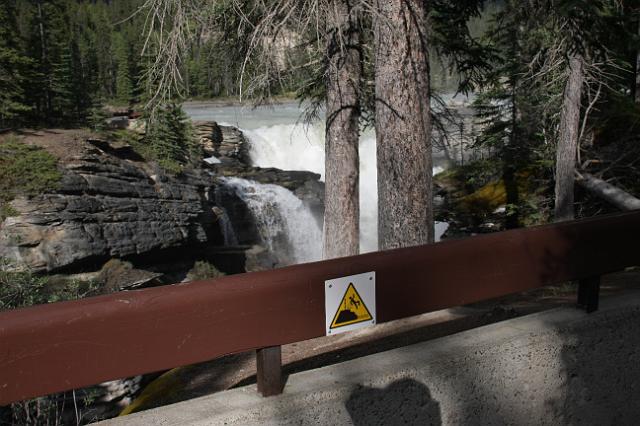 IMG_2567.JPG - Athabasca Falls with "slip and fall" warning... a few people ignore the sign every year and the result is not pretty.