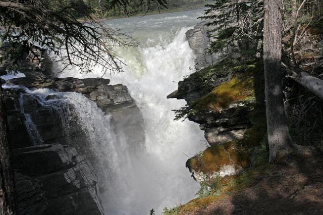 IMG_2586.JPG - Athabasca Falls.
