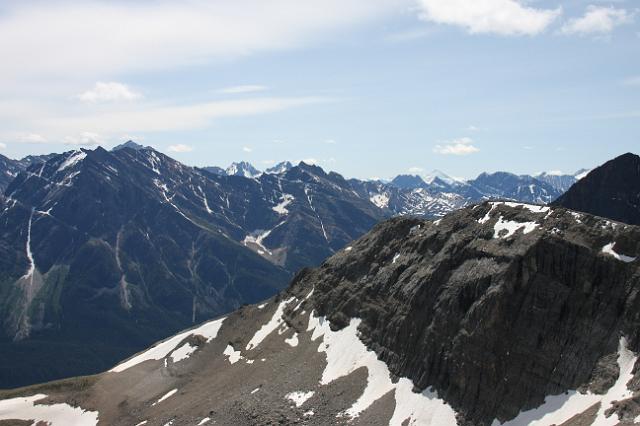 IMG_2656.JPG - Along the Edith Cavell meadows trail.