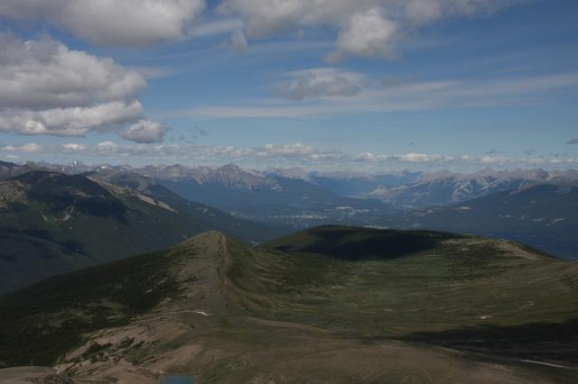 IMG_2671.JPG - Along the Edith Cavell meadows trail.