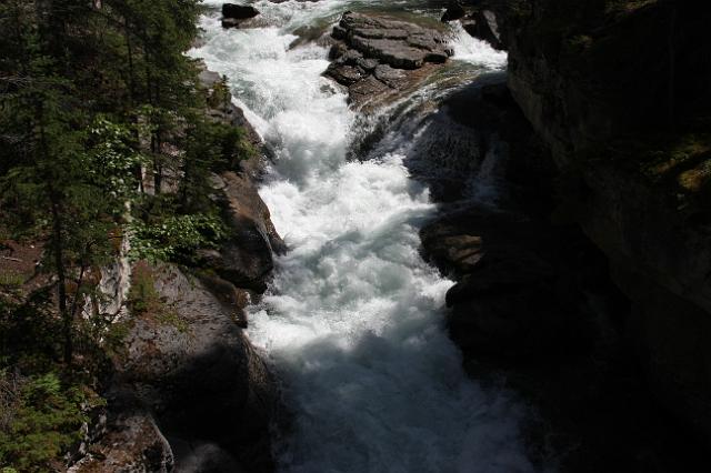 IMG_2806.JPG - Along the Maligne Canyon hike.