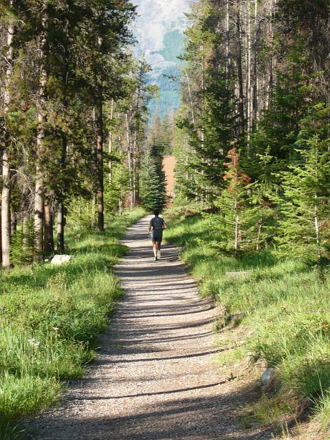 P1000579.JPG - Running on the Jasper Discovery Trail (http://www.jasper-alberta.com/pdf/Env_Services/Perimeter_Trail.pdf).