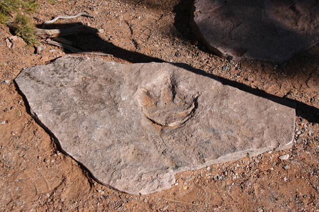 IMG_4318.JPG - Dinosaur footprint.