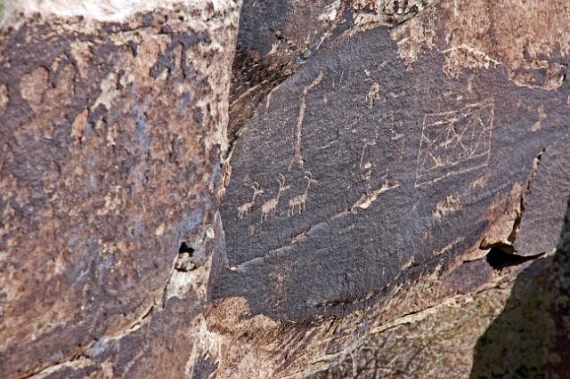 IMG_3720.JPG - Petroglyphs