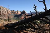 IMG_4754