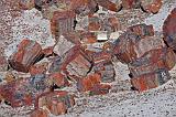 Petrified_Forest