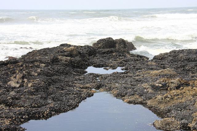 IMG_6404.JPG - The black crust is mussles... millions of them.