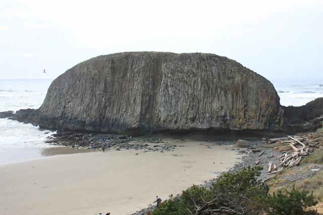 IMG_6413.JPG - Seal rock coastal area.