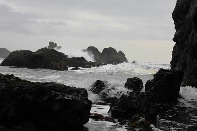 IMG_6420.JPG - Seal Rock area.