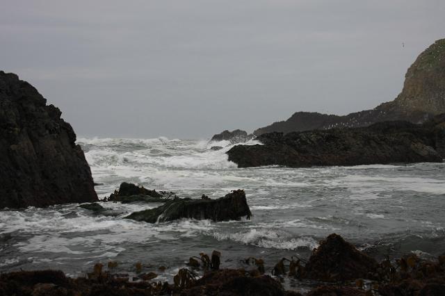 IMG_6428.JPG - Seal Rock area.
