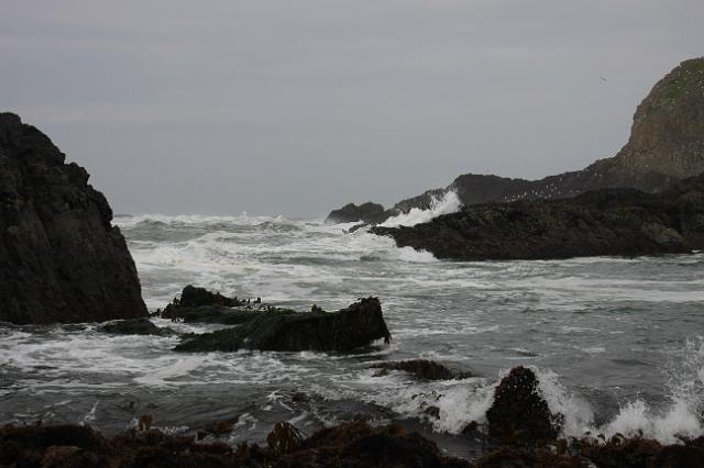 IMG_6429.JPG - Seal Rock area.
