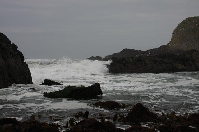 IMG_6431.JPG - Seal Rock area.